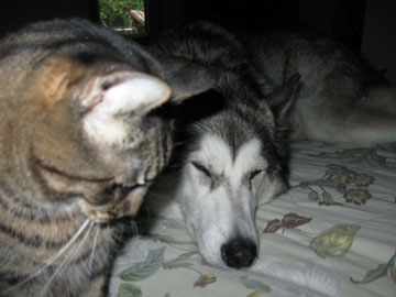 Abby and Liz on the bed