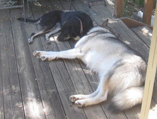Abby and Shatze exhausted