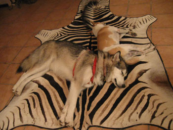 Abby and Sweetie Girl